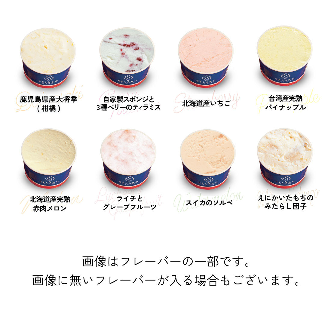お得な年12回お届け定期-ジェラート10個セット