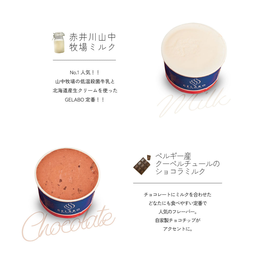 定番のおすすめジェラート8個セット