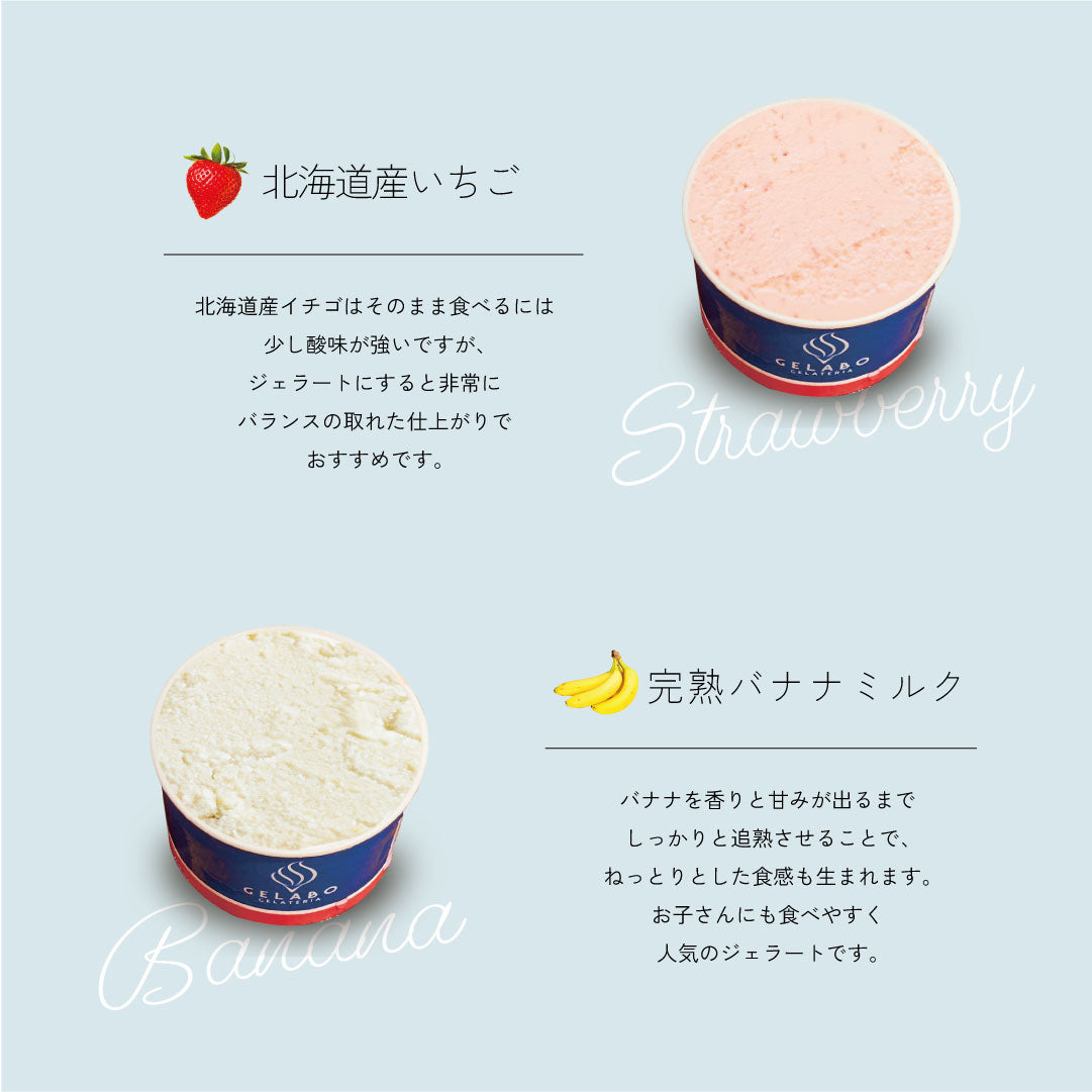 季節のおすすめジェラート12個セット