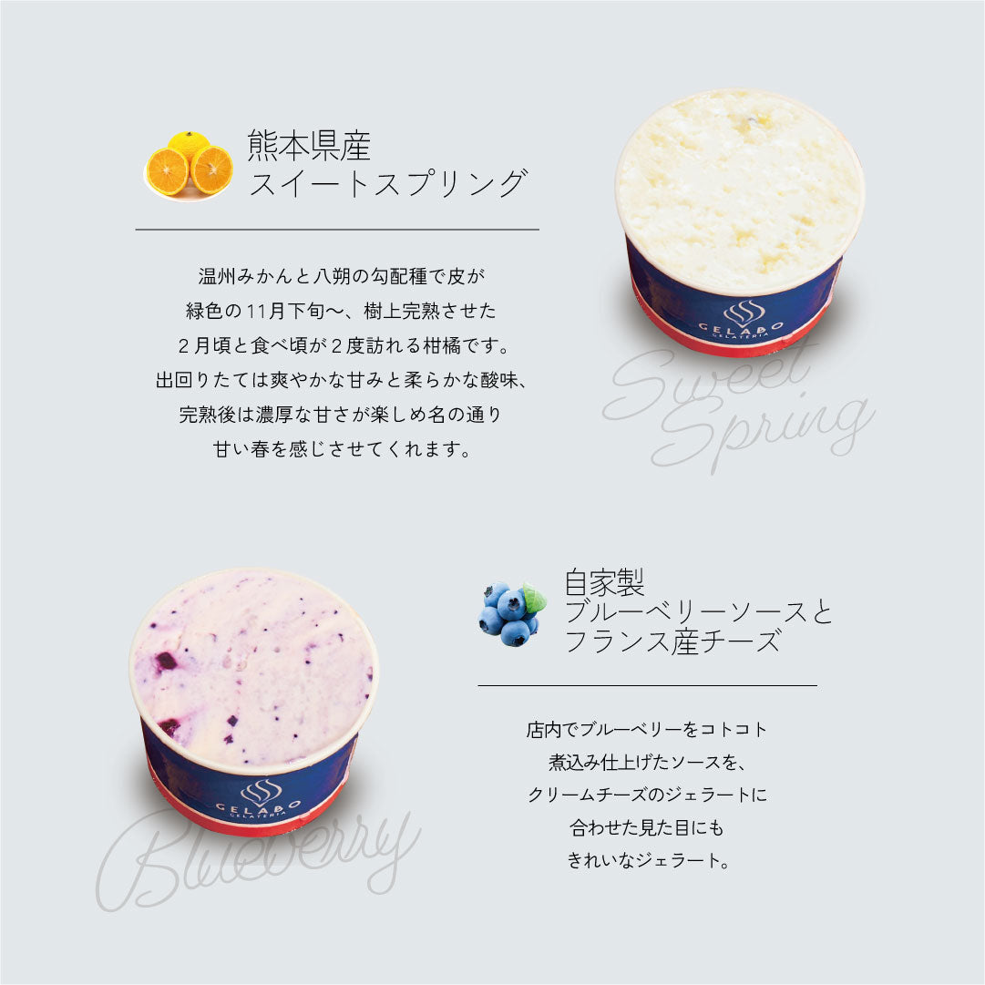 季節のおすすめジェラート6個セット