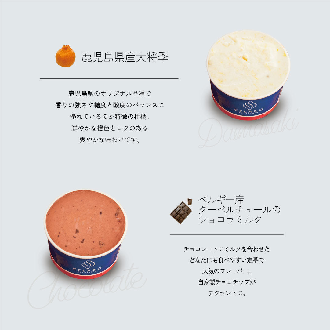 季節のおすすめジェラート8個セット