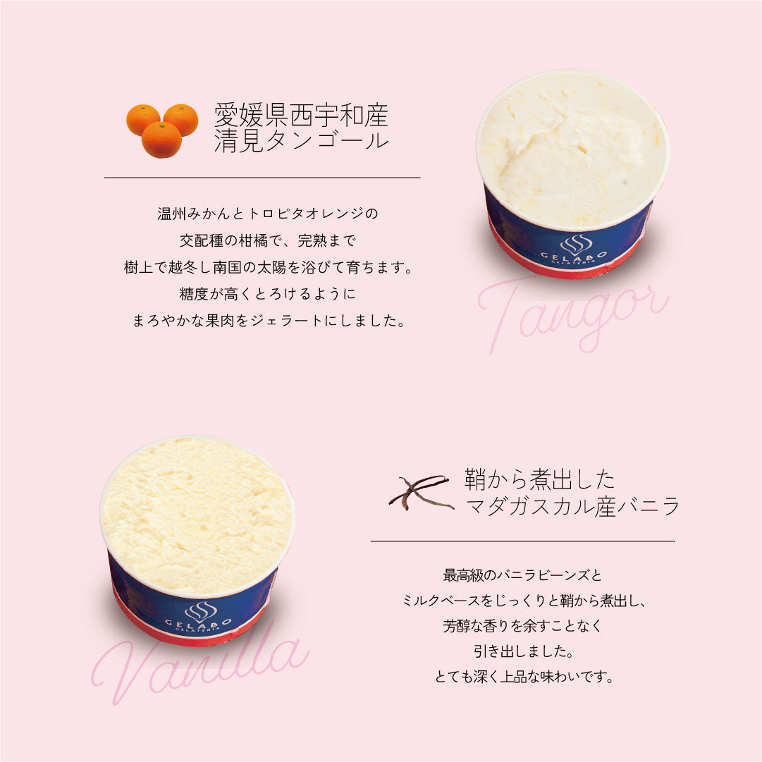 お得な年4回お届け定期-季節のジェラート6個セット