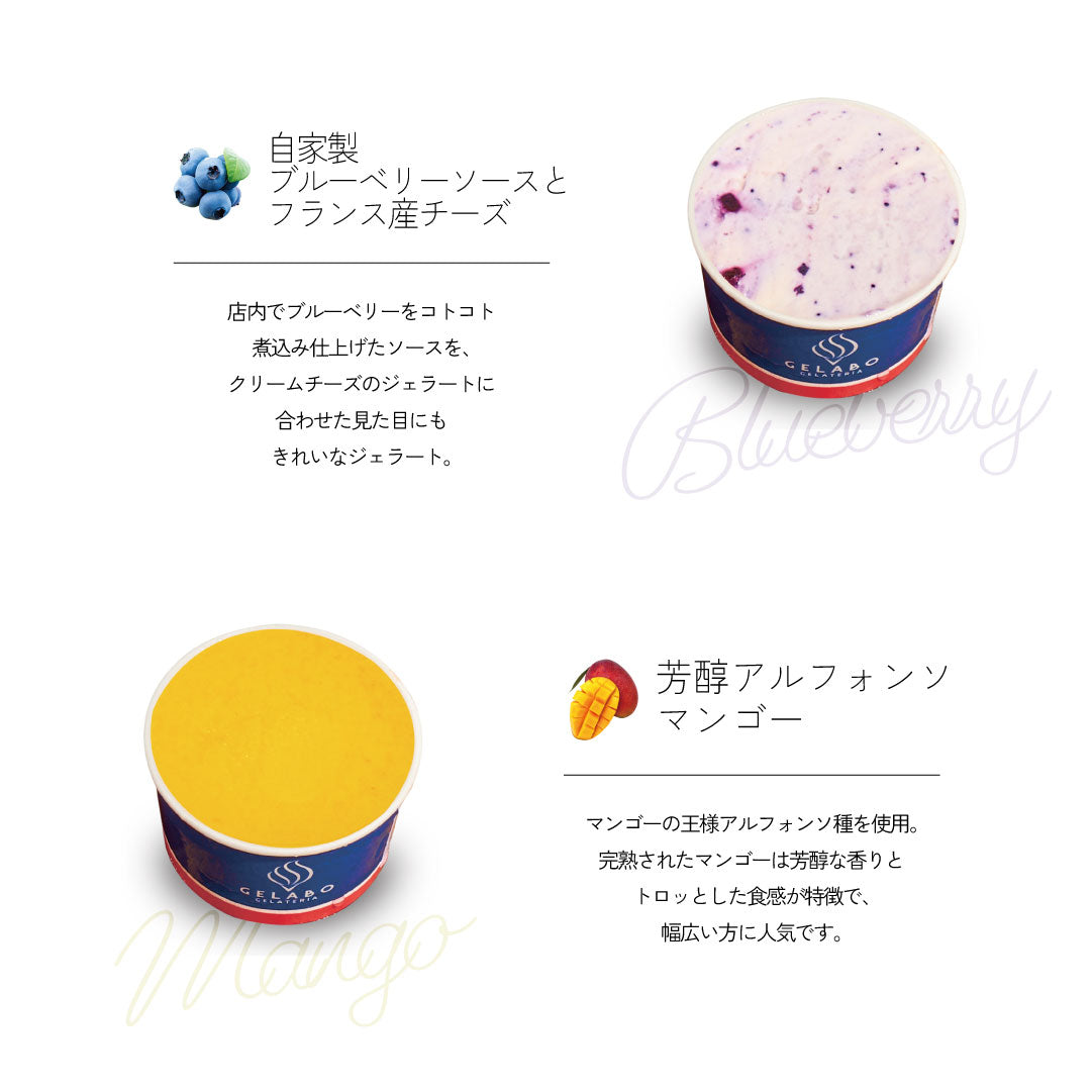 定番のおすすめジェラート8個セット