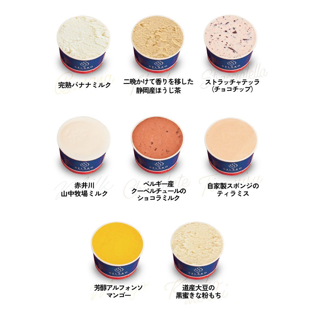 選べるジェラート8個セット