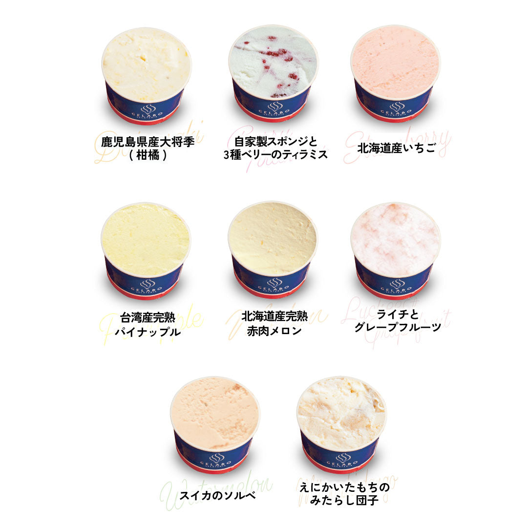 選べるジェラート6個セット