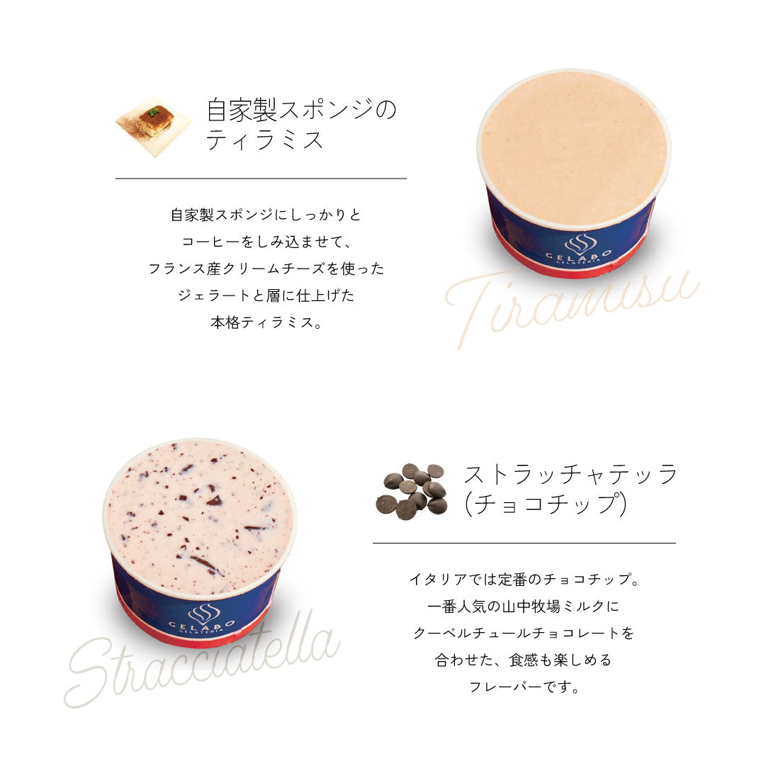 定番のおすすめジェラート8個セット