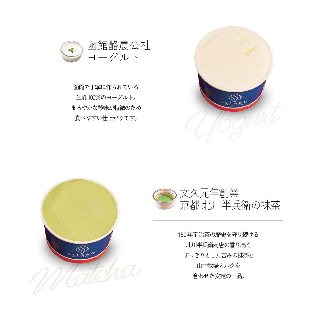 定番のおすすめジェラート8個セット