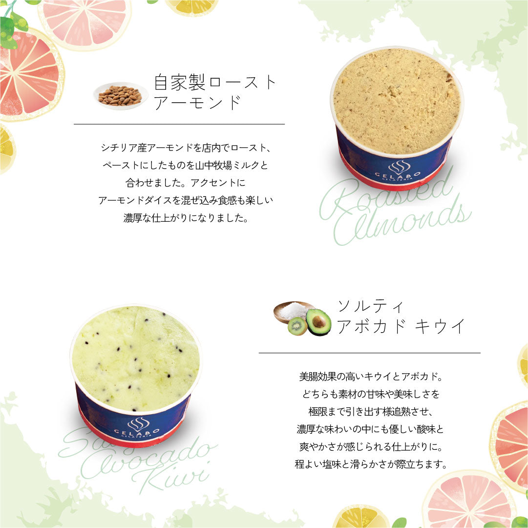 美肌ジェラート12個セット