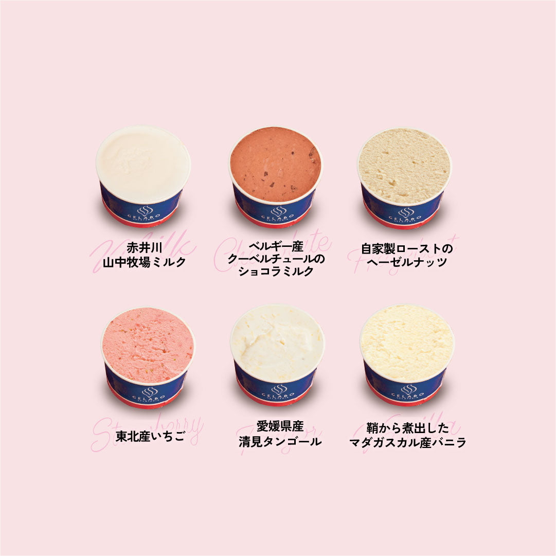 お得な年4回お届け定期-季節のジェラート6個セット