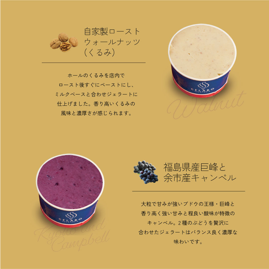 季節のおすすめジェラート12個セット