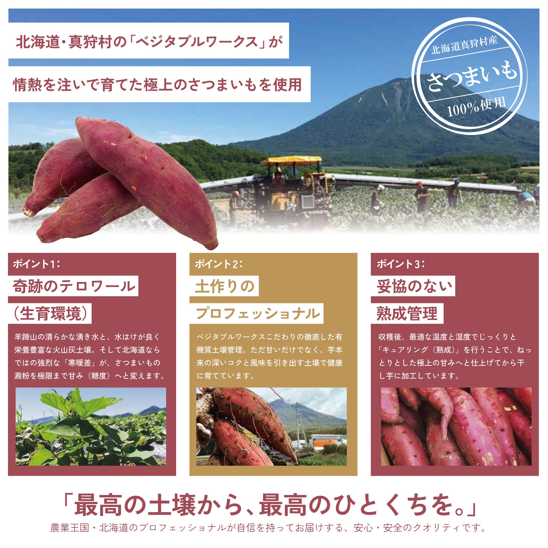 真狩町シルクスイートのやわらか干し芋 平干し