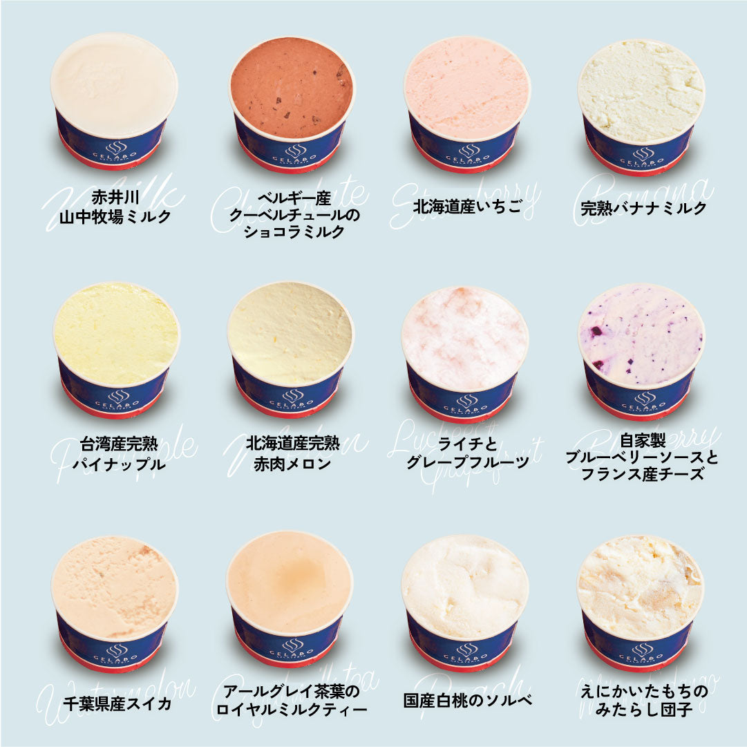 季節のおすすめジェラート12個セット