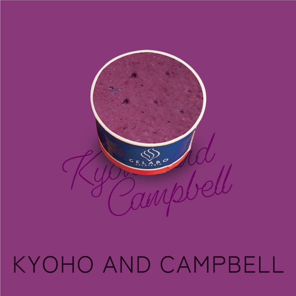 福島県産巨峰と余市産キャンベル