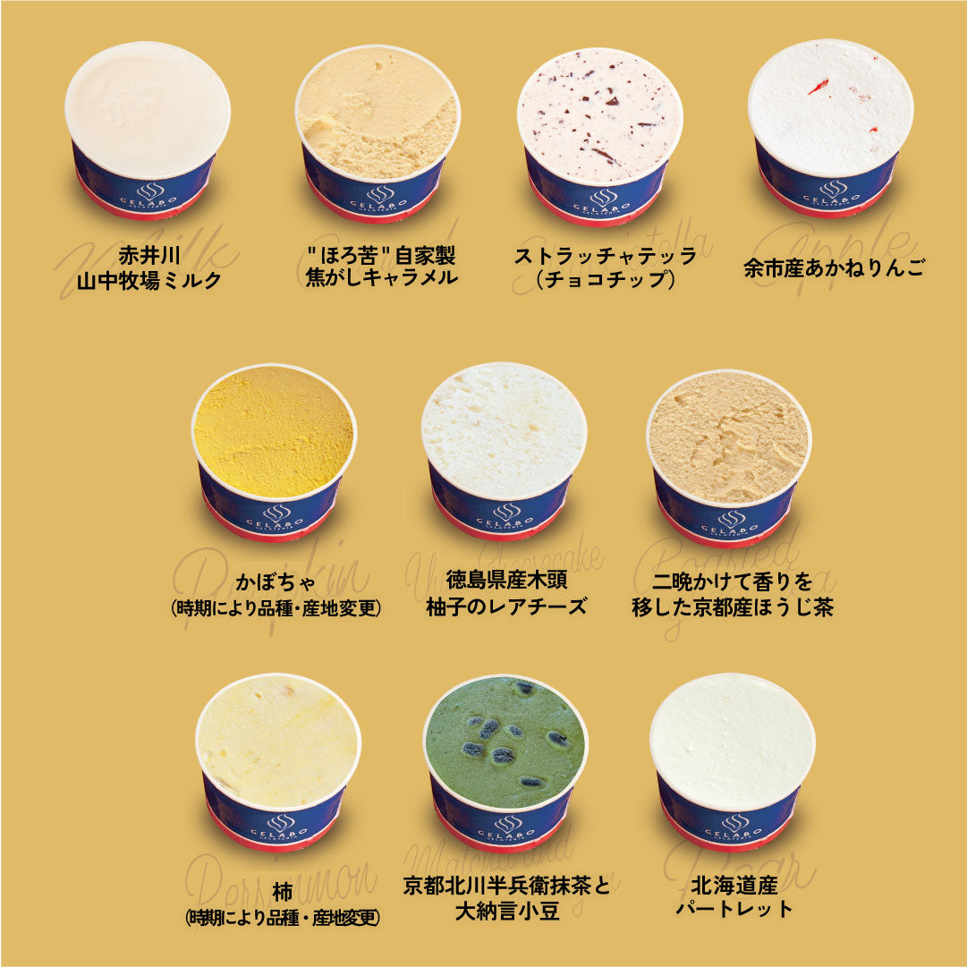 季節のおすすめジェラート10個セット