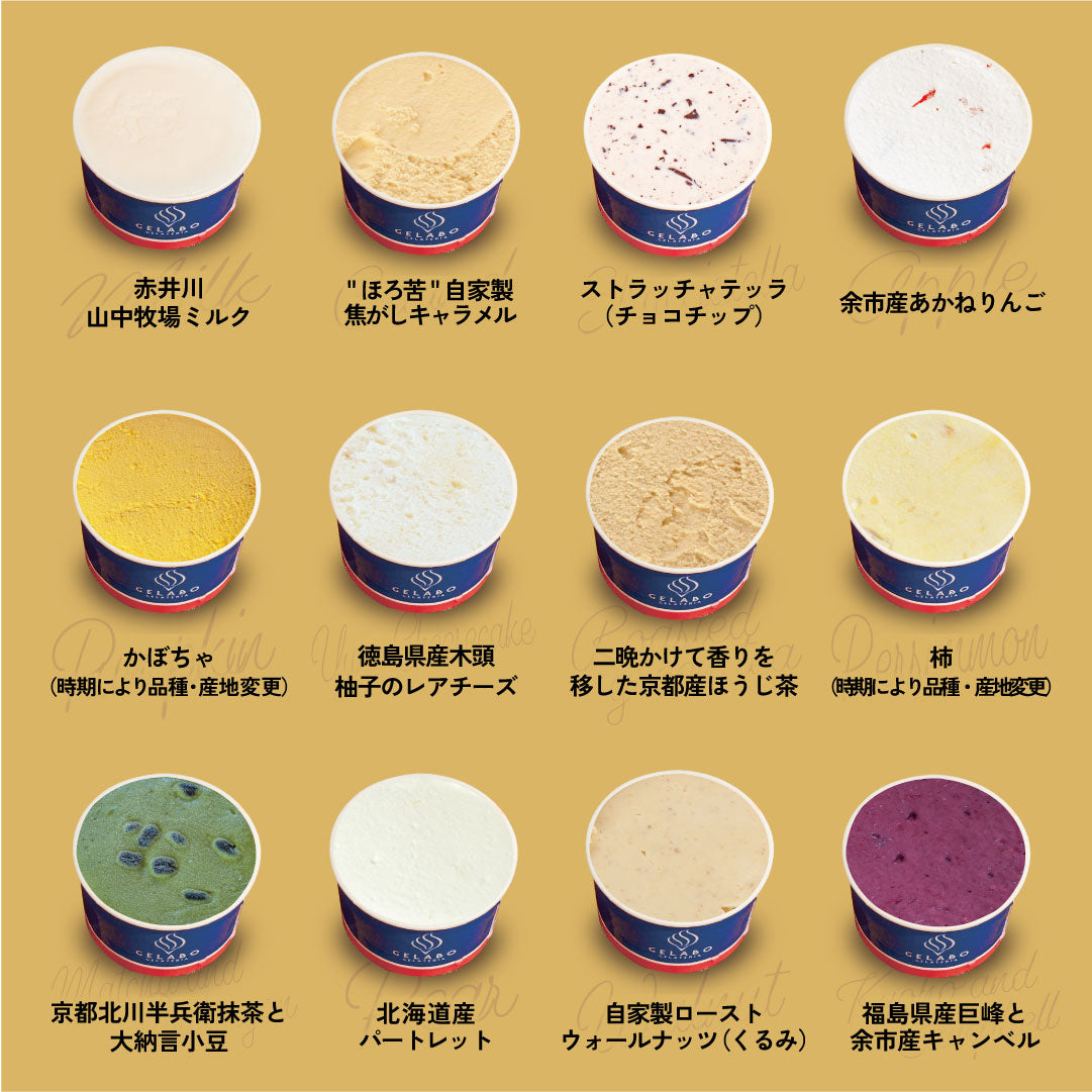 季節のおすすめジェラート12個セット – GELATERIA GELABO