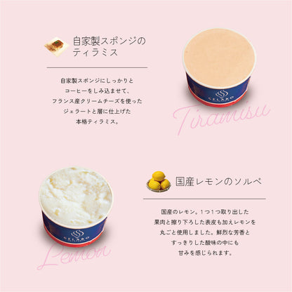 お得な年4回お届け定期-季節のジェラート12個セット