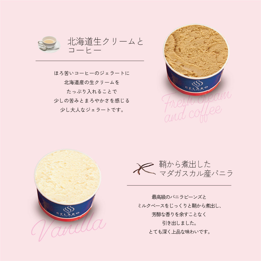 季節のおすすめジェラート10個セット – GELATERIA GELABO