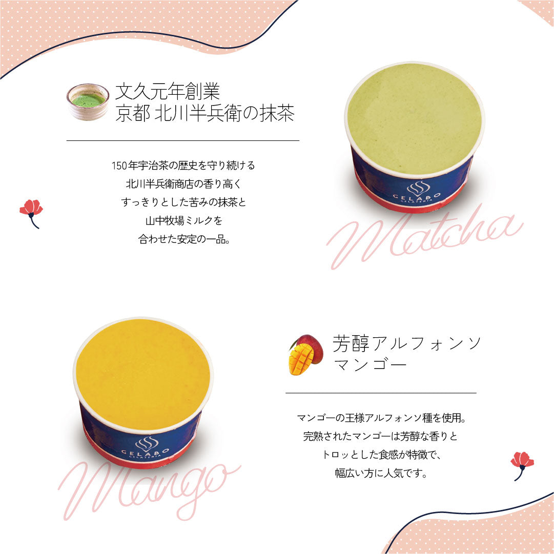 母の日にぴったり！お得なジェラート10個セット