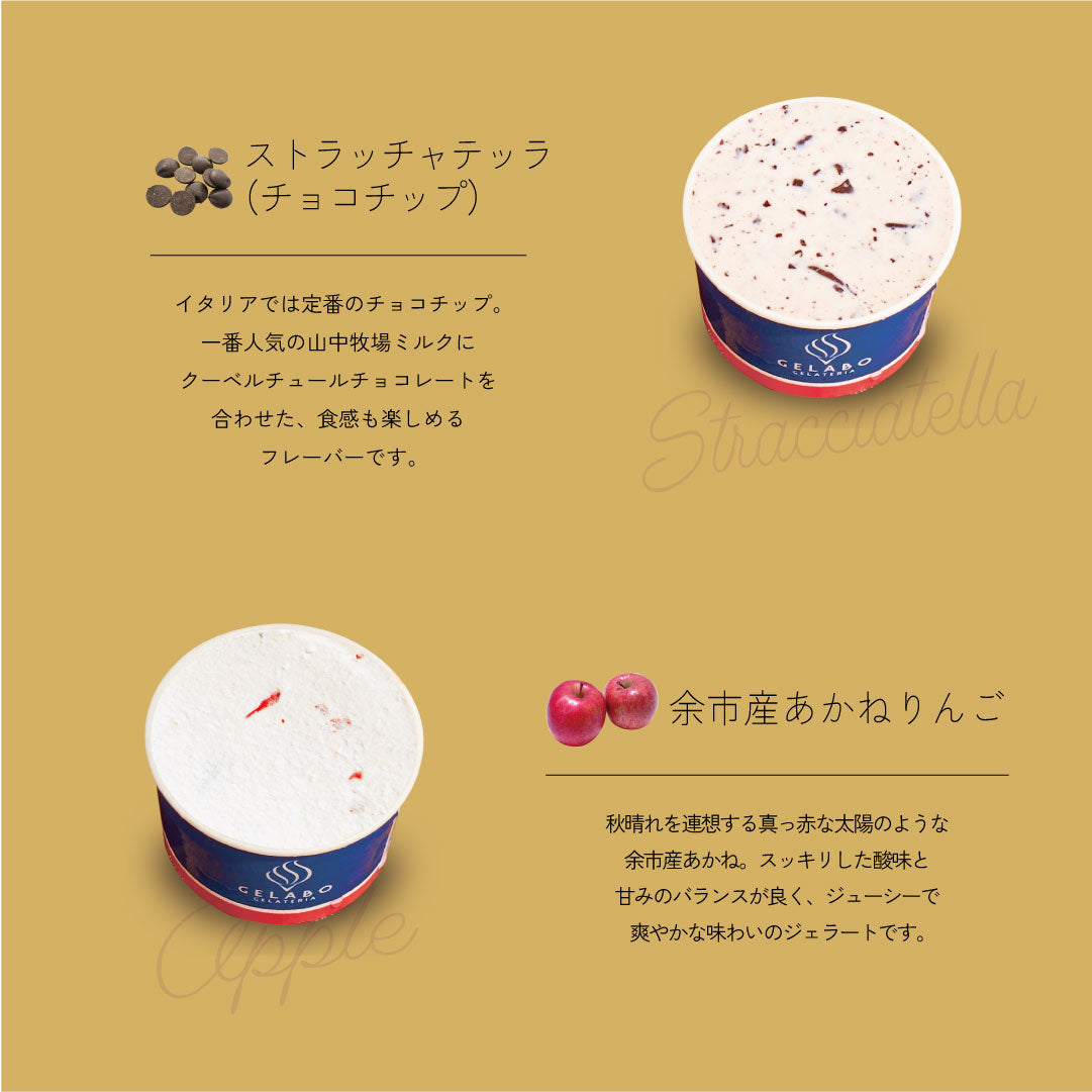 Jele Chewy Ice 9パックセット お得な年4回お届け定期-季節のジェラート8個セット – GELATERIA GELABO