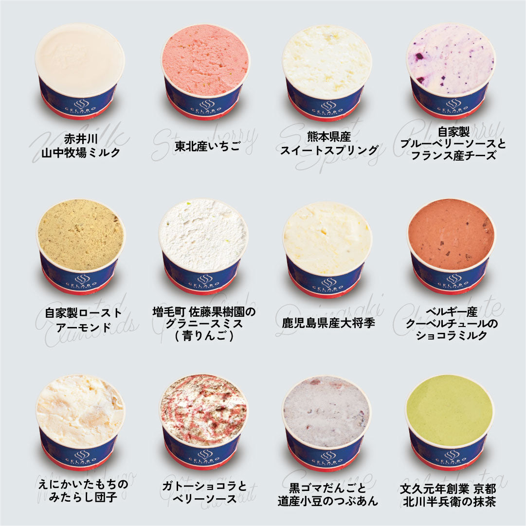 ベラジェールシリーズ 季節のおすすめジェラート12個セット – GELATERIA GELABO