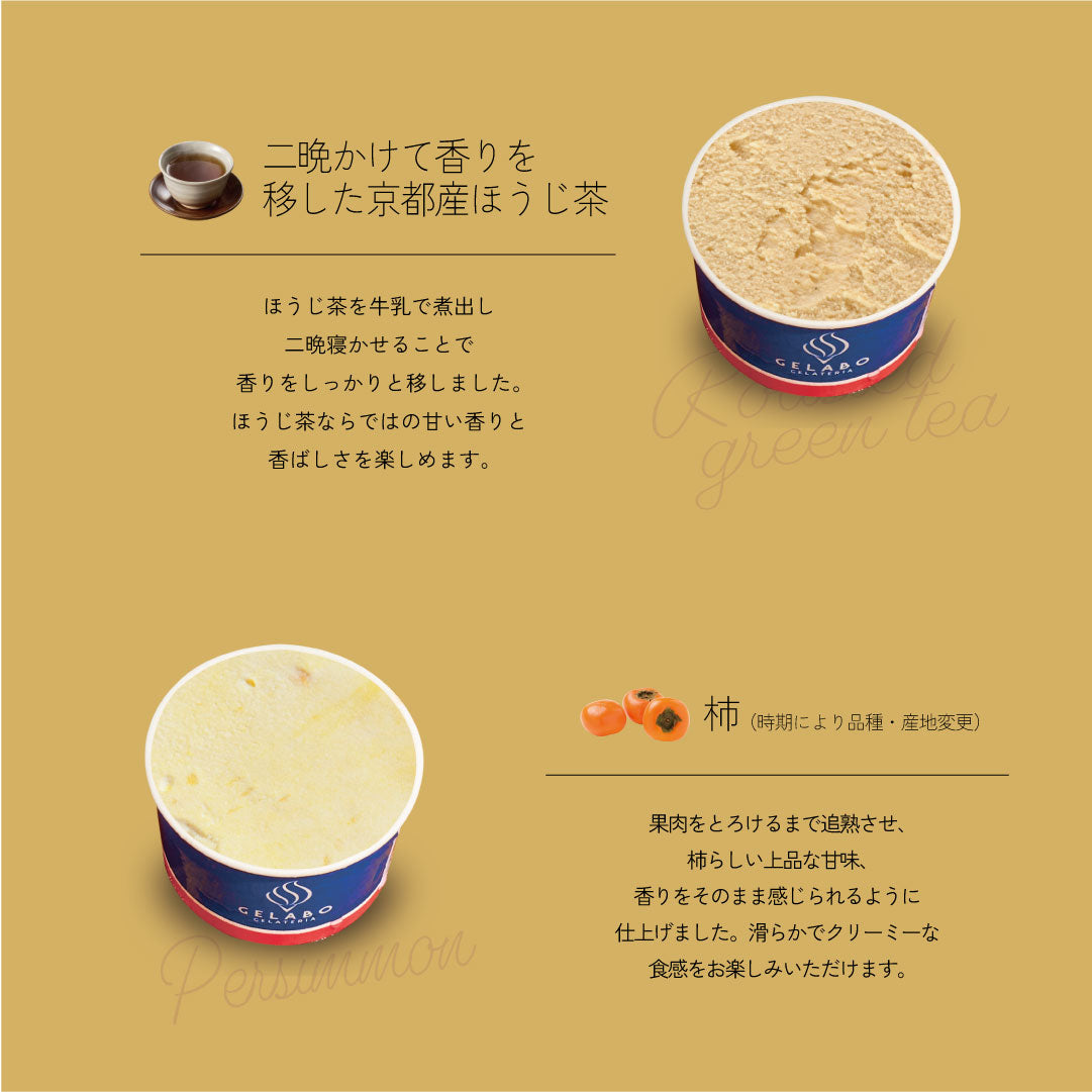 季節のおすすめジェラート10個セット