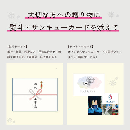 選べるジェラート10個セット