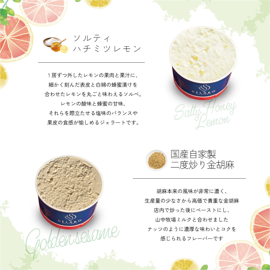 美肌ジェラート12個セット