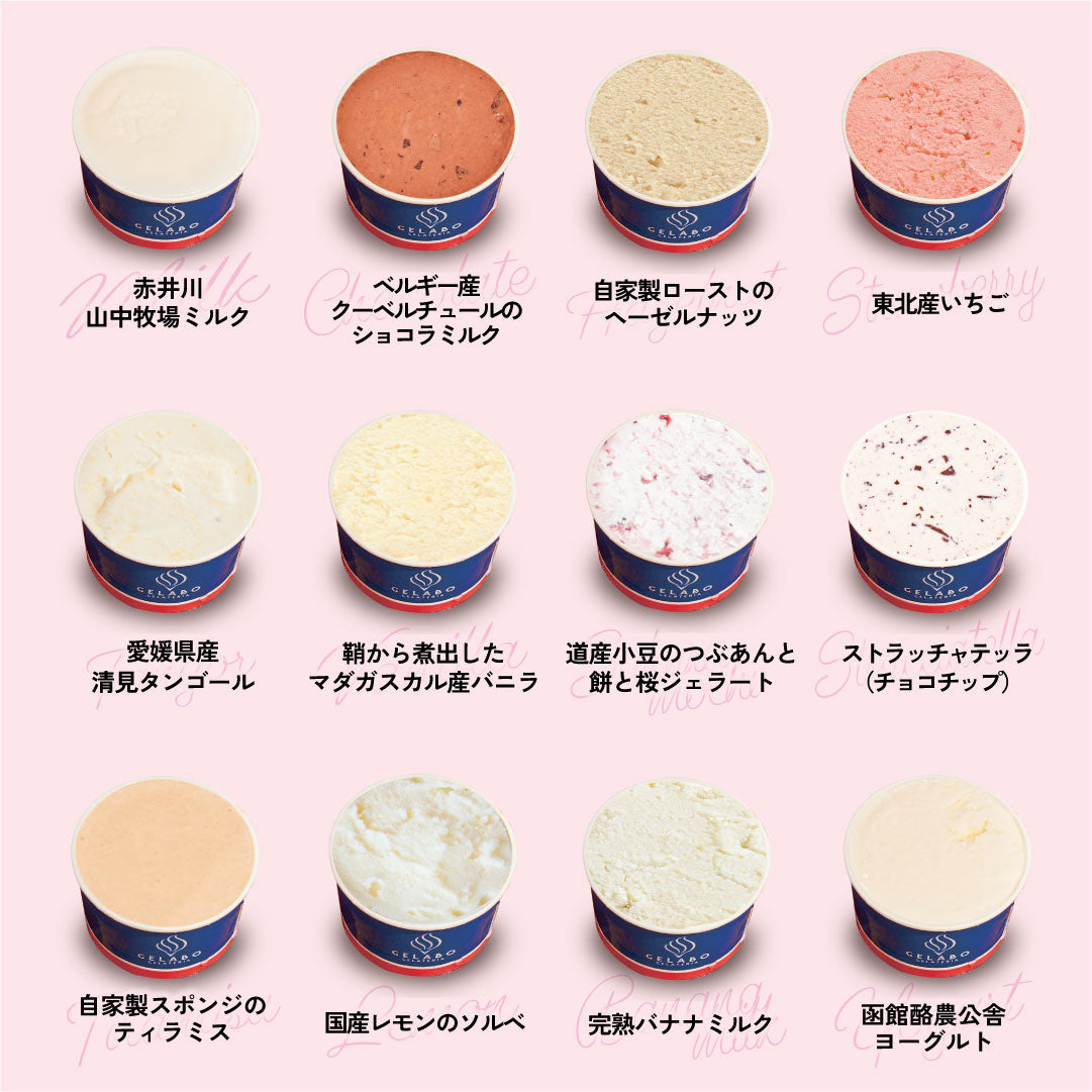 季節のおすすめジェラート12個セット – GELATERIA GELABO