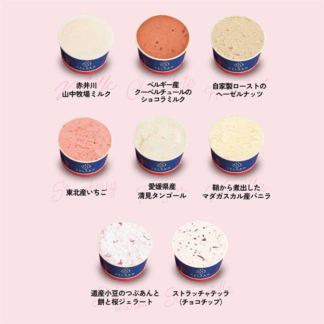 お得な年4回お届け定期-季節のジェラート8個セット