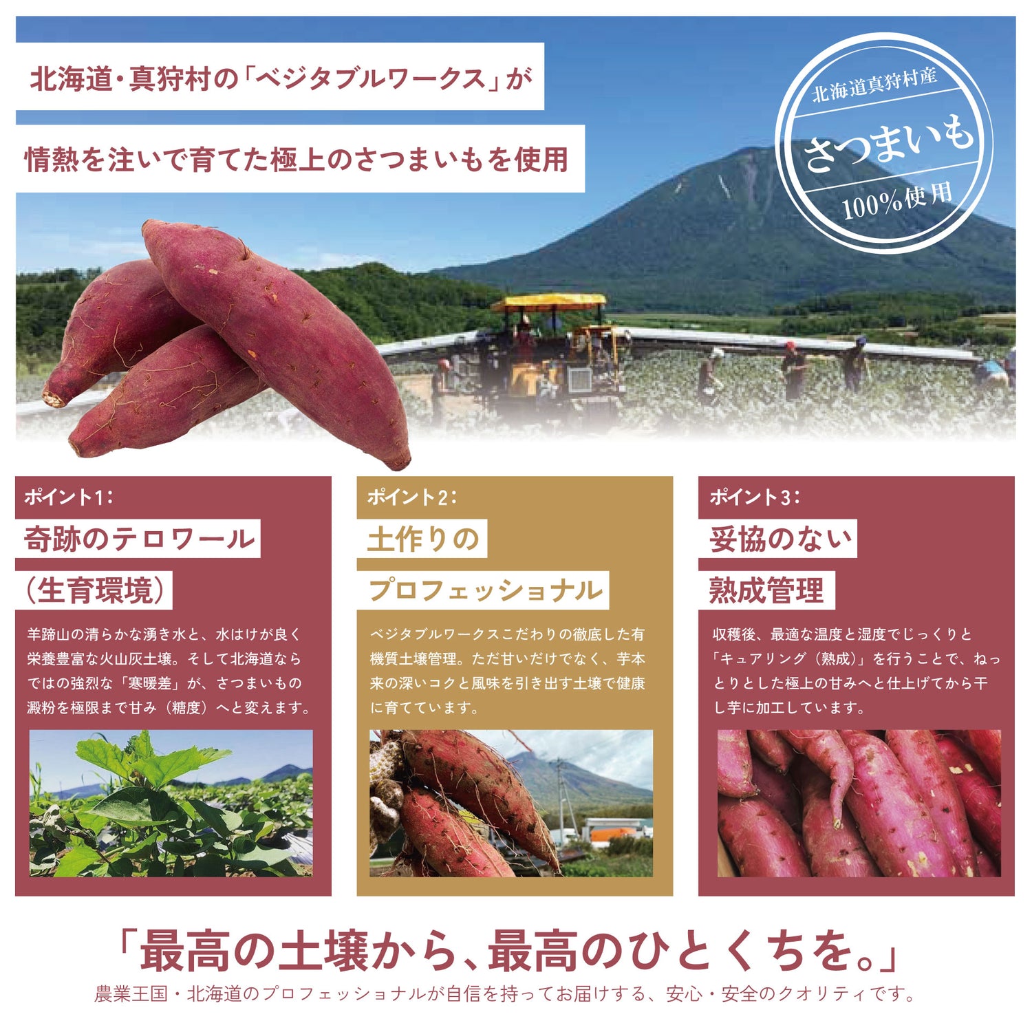 真狩町シルクスイートのやわらか干し芋 平干し