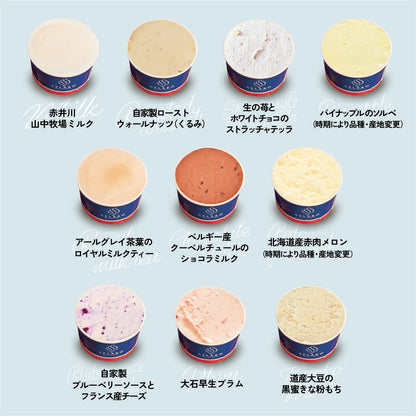 お得な年4回お届け定期-季節のジェラート10個セット